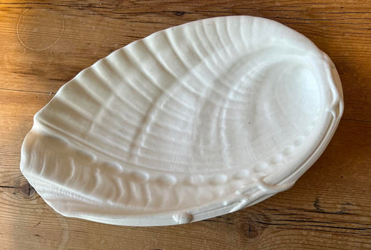 Shell Shaped Bowl