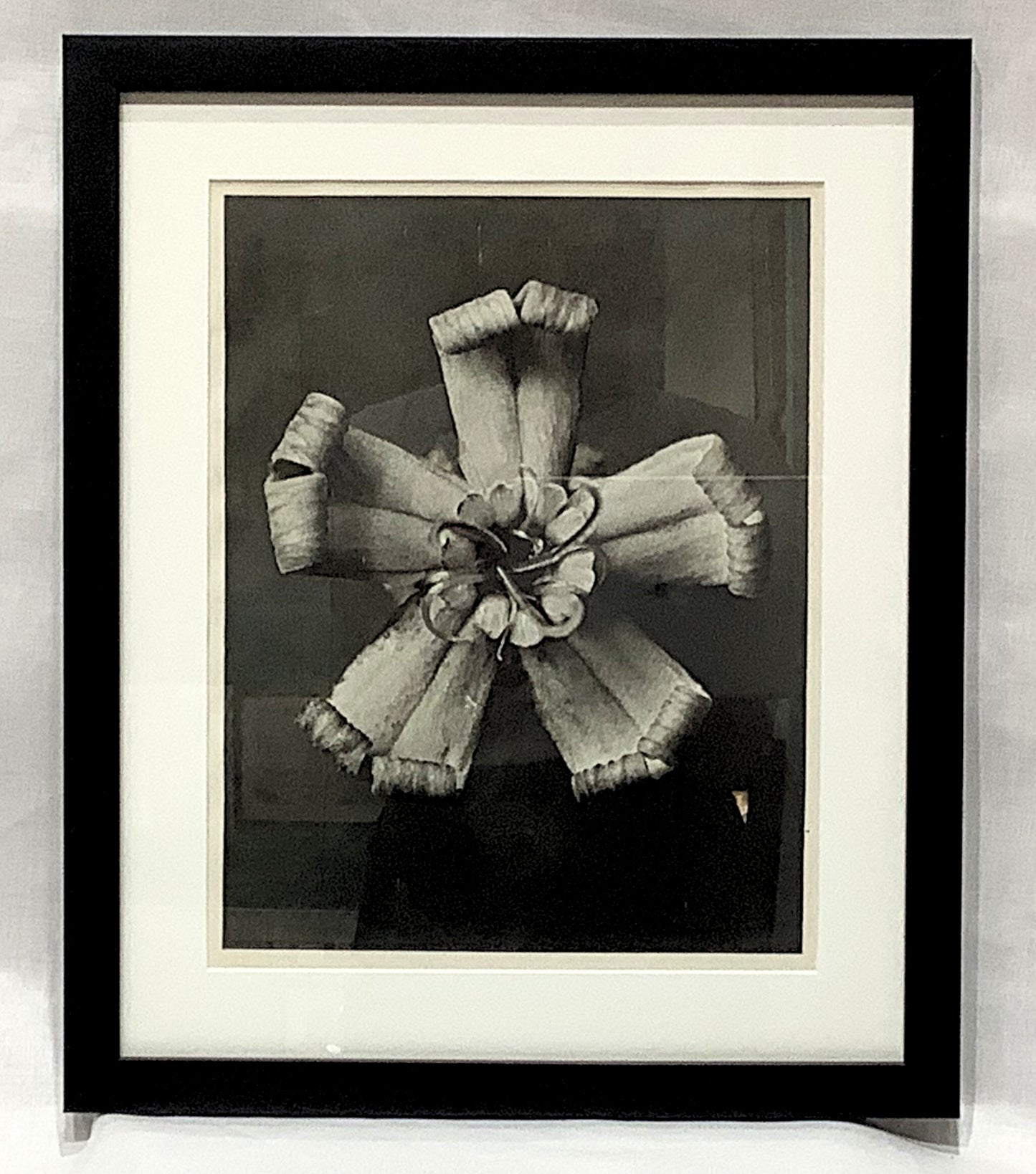 Karl Blosfeldt Framed Photograph