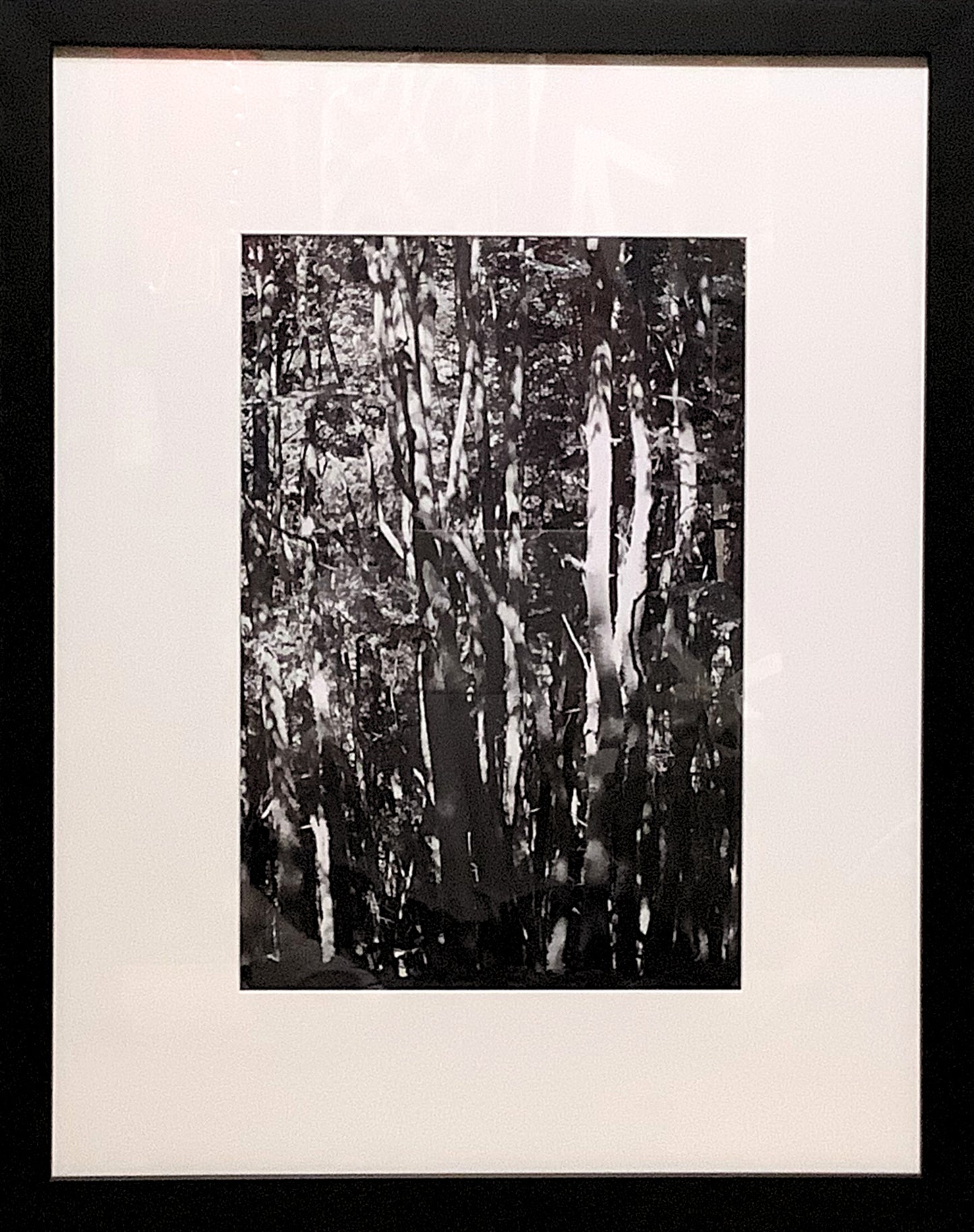 Photograph by Wolfgang Tillmans