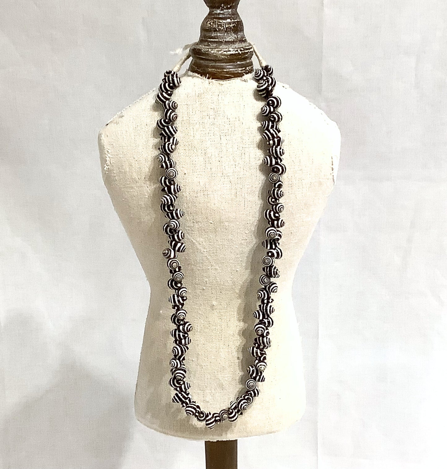 Vintage Strand of Zebra Shells