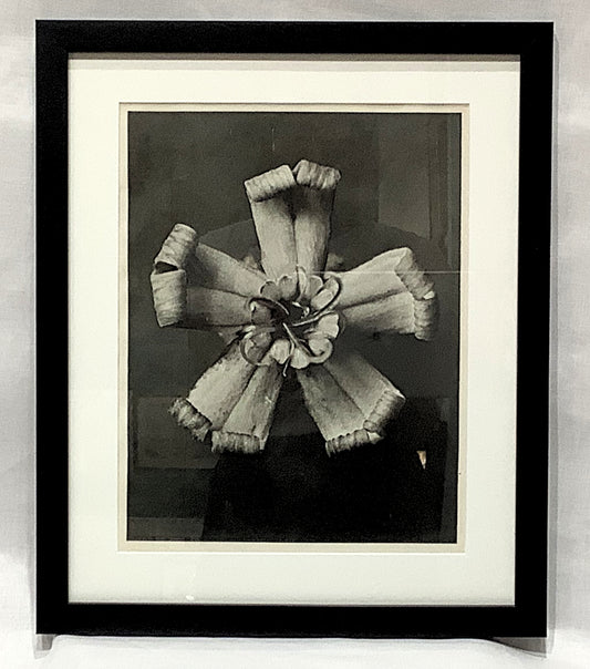 Karl Blosfeldt Framed Photograph