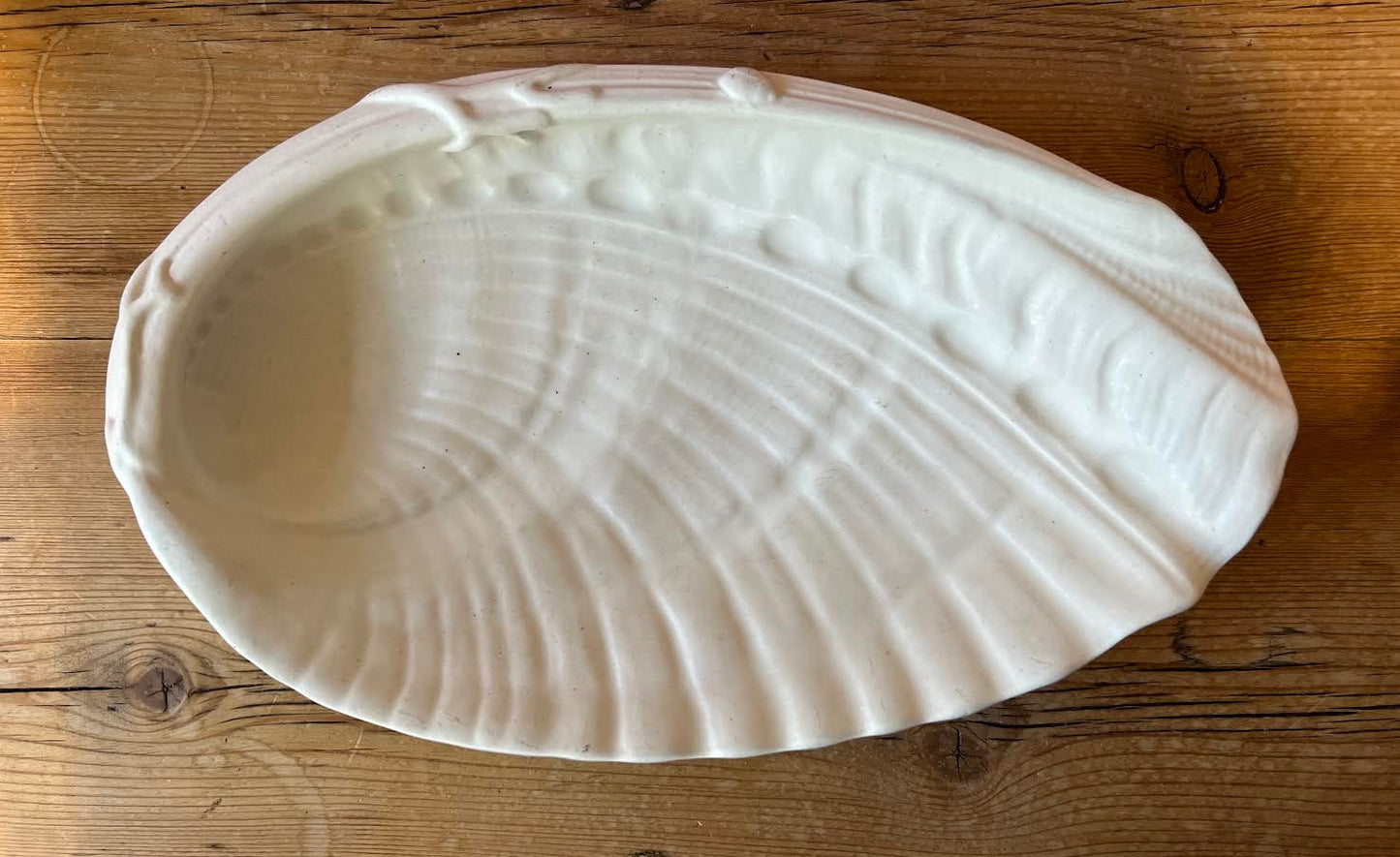 Shell Shaped Bowl