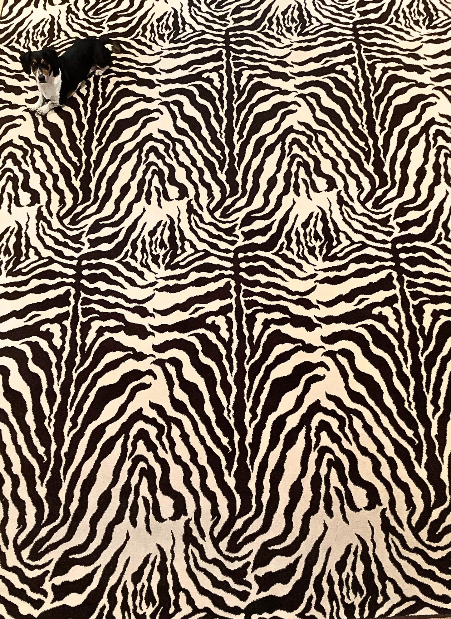 Faux Zebra Carpet by Stark
